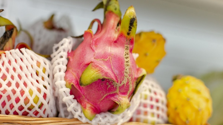 Полезный праздничный стол из фруктов и ягод поможет накрыть «Планета витаминов»
