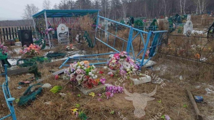 Убегавшие от собак коровы в Сивяково разрушили несколько могил на кладбище