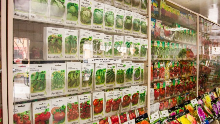 Голландские семена овощей поступили в салоны цветов «Альгамбра» в Чите