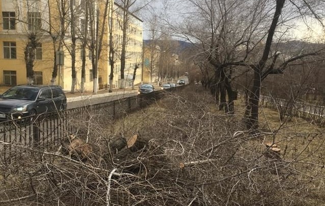 ТГК-14 вырубила деревья на Горького под ремонтную технику