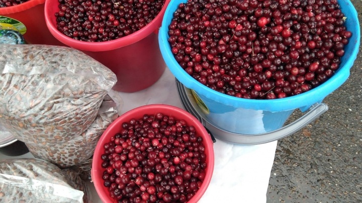 Свежие овощи, мясо, забайкальскую ягоду и мёд продадут на ярмарке (6+) 2 октября в Чите