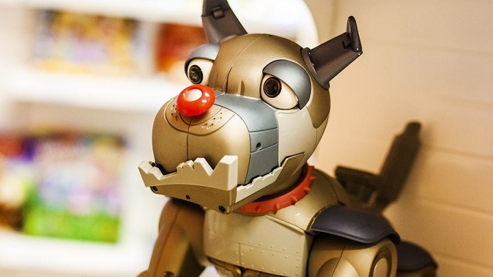 Роботы-конструкторы и интерактивные зомби появились в магазине современных игрушек «Джем»