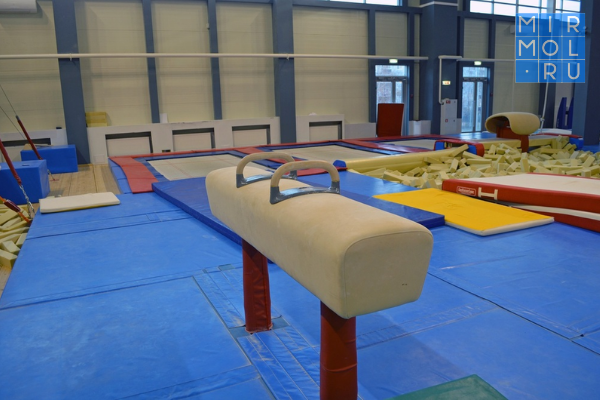 Зал гимнастики построят на запланированном месте около бассейна «Нептун» в Чите