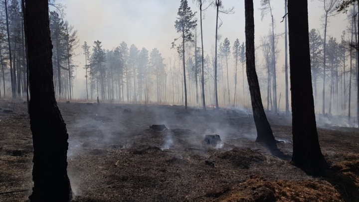 Площадь лесных пожаров в Иркутской области за сутки выросла в три раза