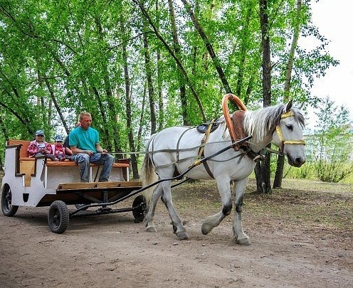 Парк «Бурушка» в Чите пригласил в верёвочный парк и на конные прогулки в черте города