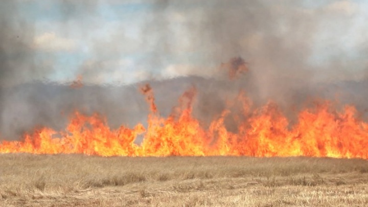 Пожарные потушили горящую траву недалеко от мемориала Халхин-Гол в Чите