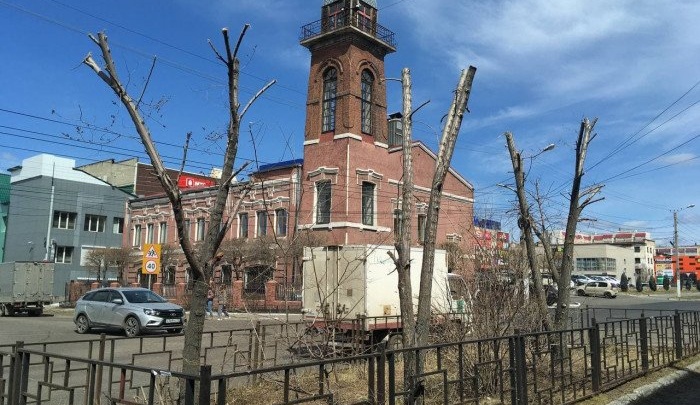 Рабочие обрезали деревья напротив парка Пионеров по улице Журавлёва в Чите