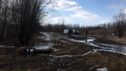 Тело убитого могочинца нашли в лесу недалеко от города