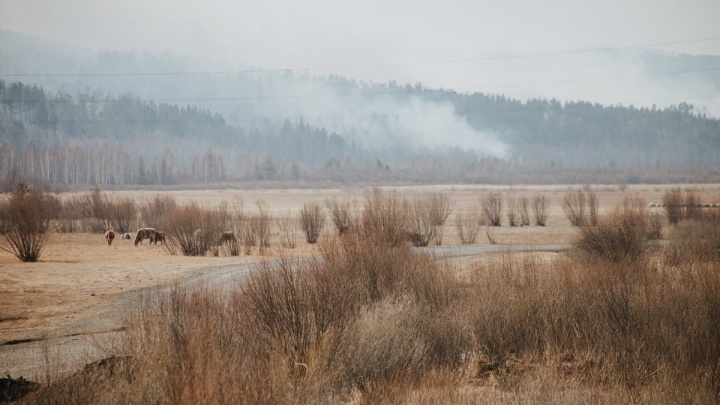 Число природных пожаров в Забайкалье в 15 раз превысило показатели 2021 года