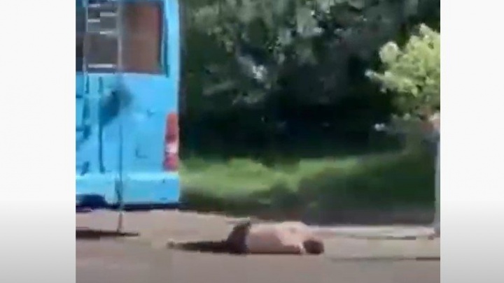 Полуголый неадекватный мужчина в Чите забрался на троллейбус и упал с него