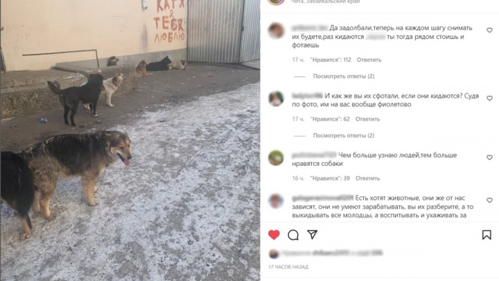 Собака покусала врача-педиатра, идущего на вызов, в Чите