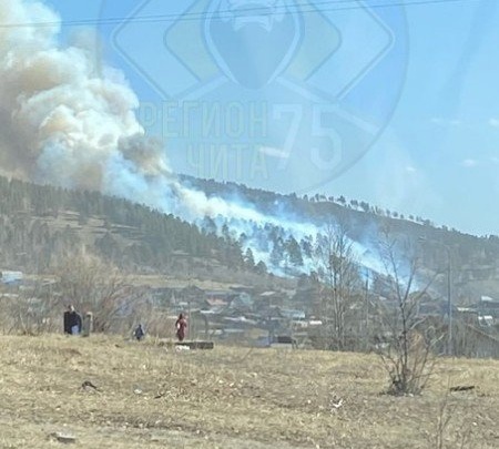 Пожарные начали тушить горящий лес около Песчанки под Читой