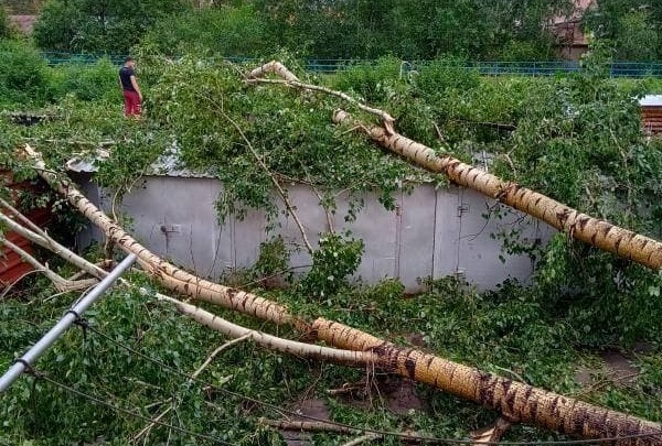 Мощный ураган прошёл в посёлке Кокуй Сретенского района