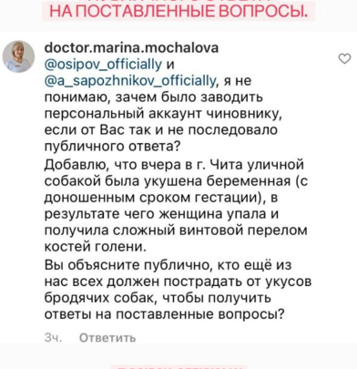 Сапожников публично ответил Мочаловой по бездомным собакам