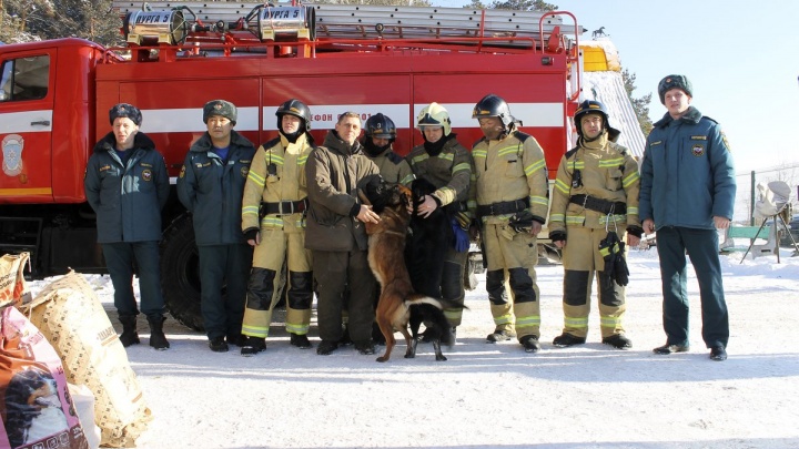 Сотрудники МЧС навестили собак, которых спасли на пожаре в иркутском питомнике «К-9»