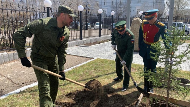 Осипов в военной форме посадил дерево у штаба 29-й армии в Чите