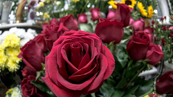 Места продажи цветов к Родительскому дню — «Чита.Ру» публикует список