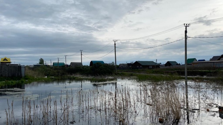 Режим ЧС ввели в Ленинском и Правобережном округах Иркутска из-за подъёма грунтовых вод