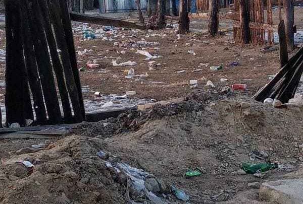 Собаки растаскивают мусор из контейнеров в забайкальском посёлке