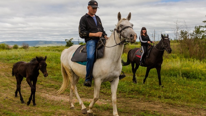 Набор участников на конные походы (6+) на 10-13 км начал зоопарк «Радуга» в Чите