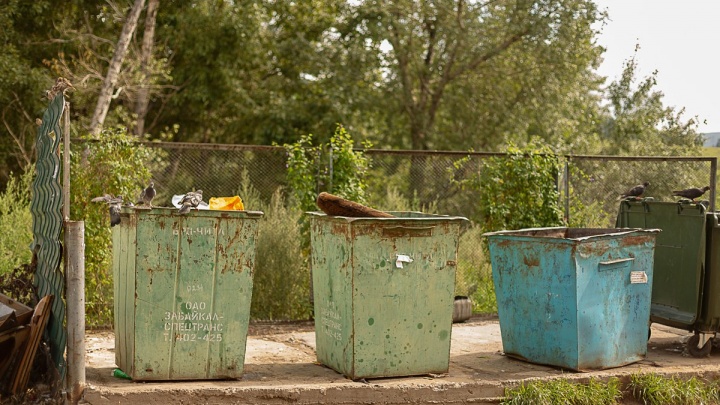 «Олерон+» пообещал вывозить мусор с контейнерных площадок Читы строго по графику