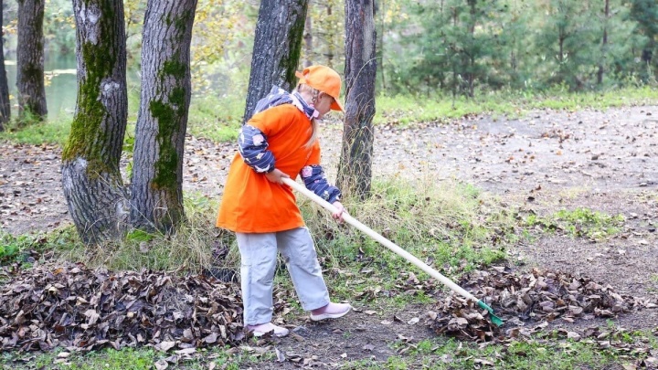 Волонтёры собрали 880 мешков мусора и высадили 770 саженцев на экоакции в Иркутске