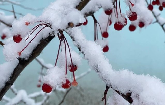 Небольшой снег и ветер до 13 метров в секунду ожидаются в Забайкалье 9 января