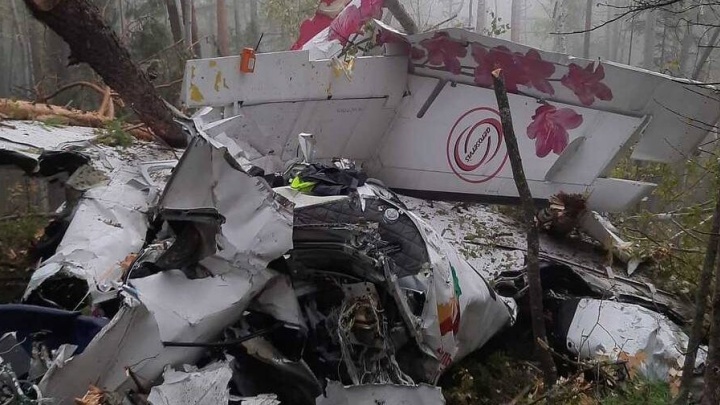 Выживший пилот упавшего самолёта L-410 рассказал о причине крушения