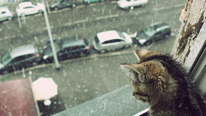 Дождь, мокрый снег, сильный ветер и гололедица ожидаются в Забайкалье 27 апреля