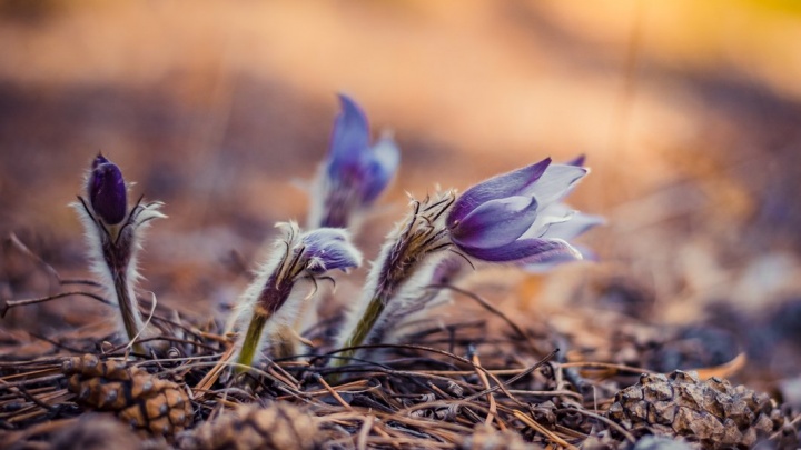 Март или апрель — когда ждать весны в Забайкалье?