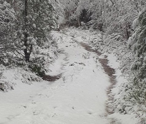 Первый снег выпал на территории Красночикойского нацпарка в Забайкалье
