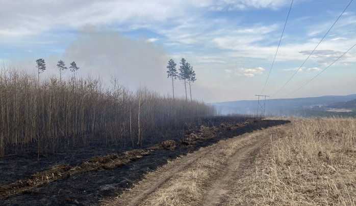 Виновник пожара на 24 гектарах в Иркутском районе получил 200 часов обязательных работ