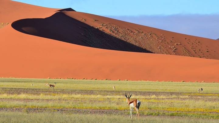 Намибия открыла границы для российских туристов