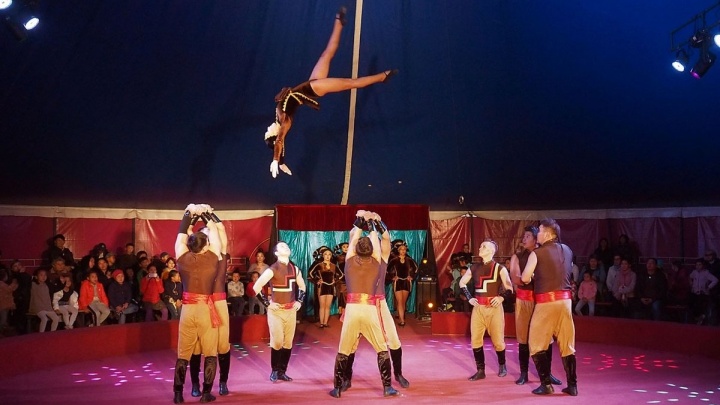Трюки бесстрашных акробатов и воздушных гимнастов покажет цирк Бурятии в Забайкалье