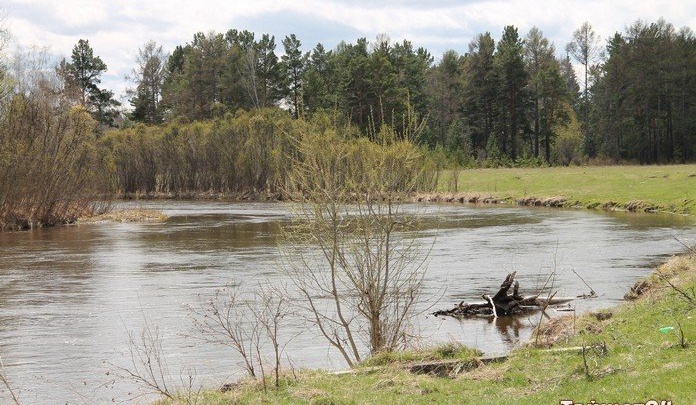 Повышение уровня воды в реке Бирюсе выше критических значений прогнозируют на 19-20 мая