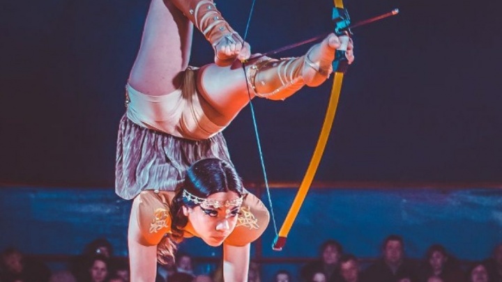 Бесплатное представление даст 30 ноября московский цирк «Арлекин» в «Новосити» в Чите