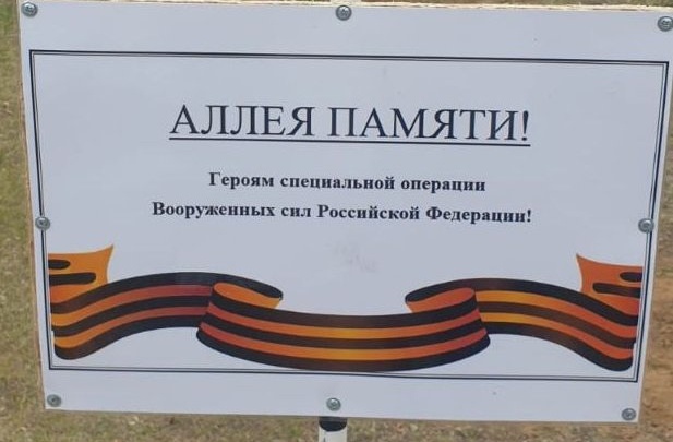 Аллею памяти героев спецоперации высадили в районе стадиона СибВО