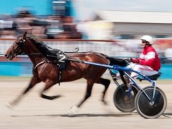 Первенство по конному спорту на кубок мэра Читы