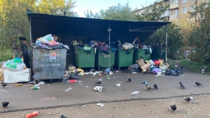 Кошелев заявил, что мусор в Чите вывозят исправно — жители накидали ему сотню адресов
