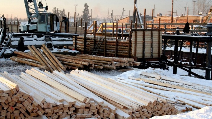 Жителей Приангарья, Забайкалья и КНР обвинили в создании ОПГ по вывозу леса на 83 млн р.