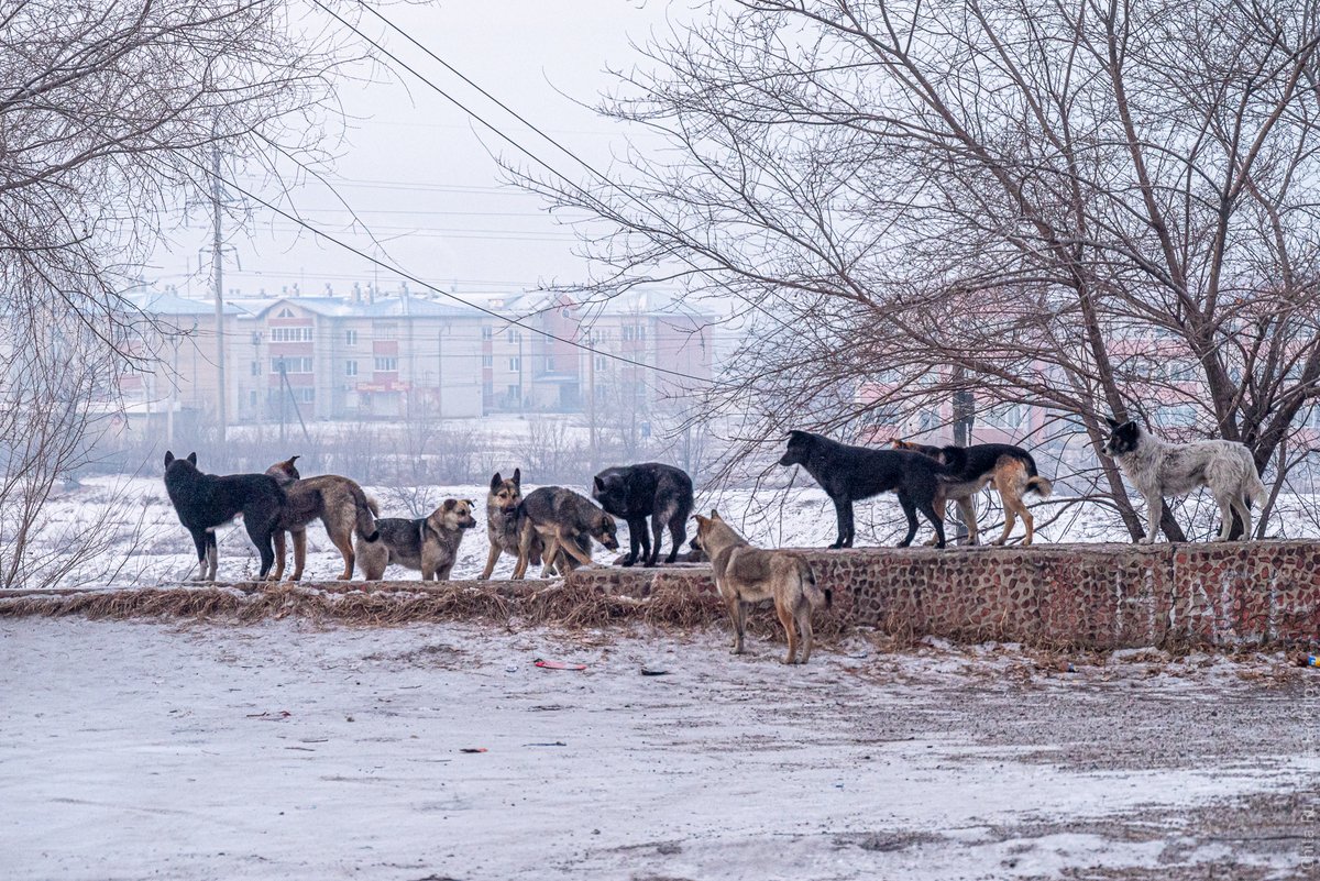 Улица Гаюсана Улица Гаюсана