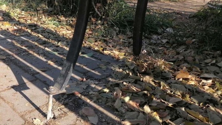 Вандалы попытались вырвать лавочки и урны в одном из скверов Читы
