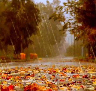 Дожди и ветер до 20 метров в секунду ожидаются в Забайкалье 23 сентября