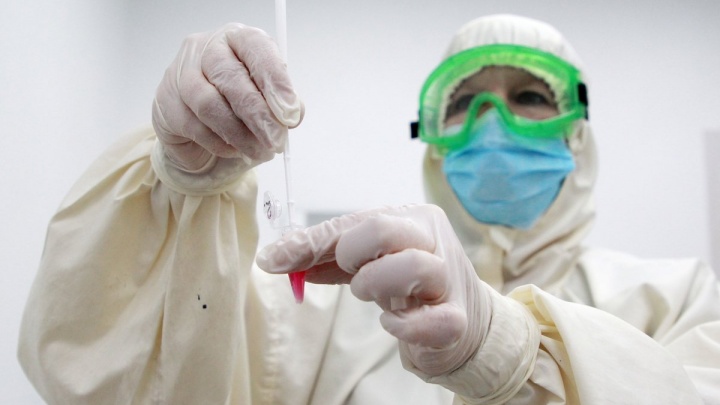 Новый штамм коронавируса «омикрон» из Африки уже есть в России – сенатор Круглый