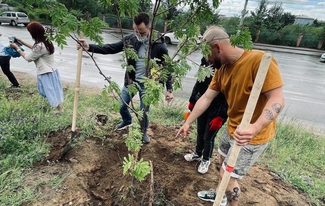Мэрия и бизнесмены высадили деревья в Чите на деньги для поимки уничтожителей насаждений