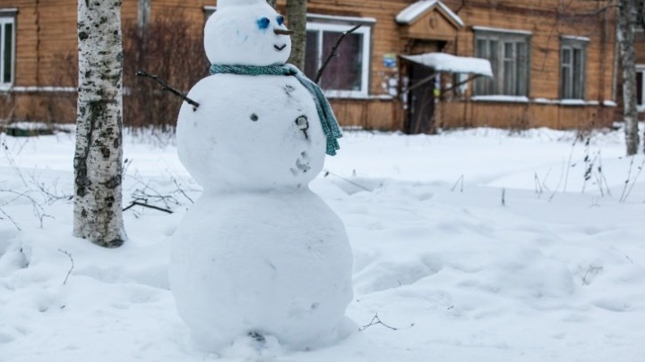 Готовимся к оттепели: какой будет зима в России