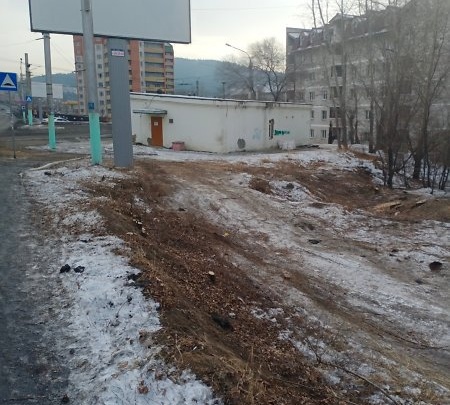Неизвестные спилили тополя по улице Ленина