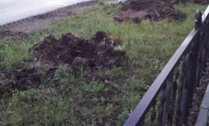 Кустарники напротив школы №25 в Чите выкопали, чтоб посадить на их месте рябины