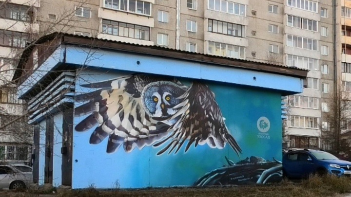 Иркутский художник нарисовал птиц на подстанции в микрорайоне Первомайский