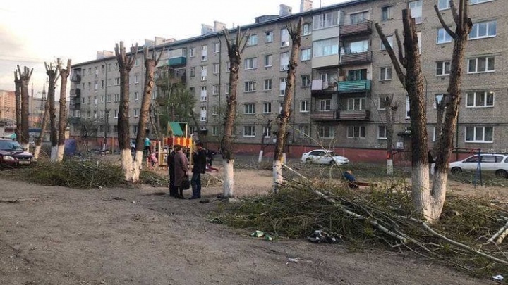 УК в Чите по просьбе жильцов обрезала во дворе деревья, падавшие во время урагана